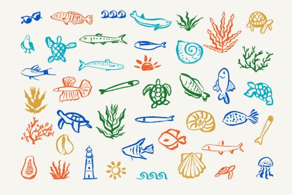 Coastal Whimsical Graphics for Branding and Marketing