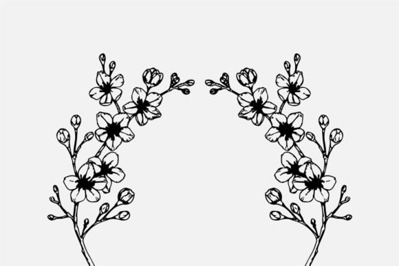 Hand Drawing Cherry Blossom Branch
