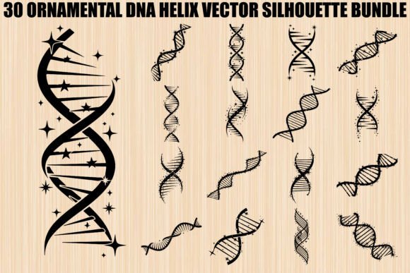 Ornamental DNA Helix Silhouette Bundle: Graphics & Illustrations