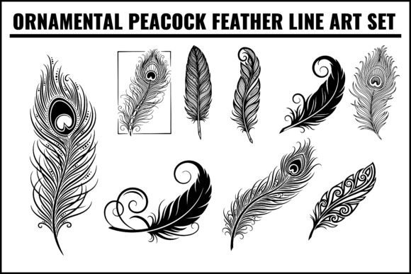 Ornamental Peacock Feather Line Art Set: Graphics & Illustrations