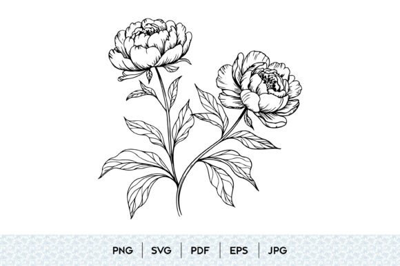 Peony Flower SVG Bundle: Graphics & Illustrations for Sellers
